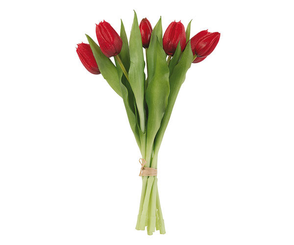 Mazzo 7 tulipani rossi 300cm