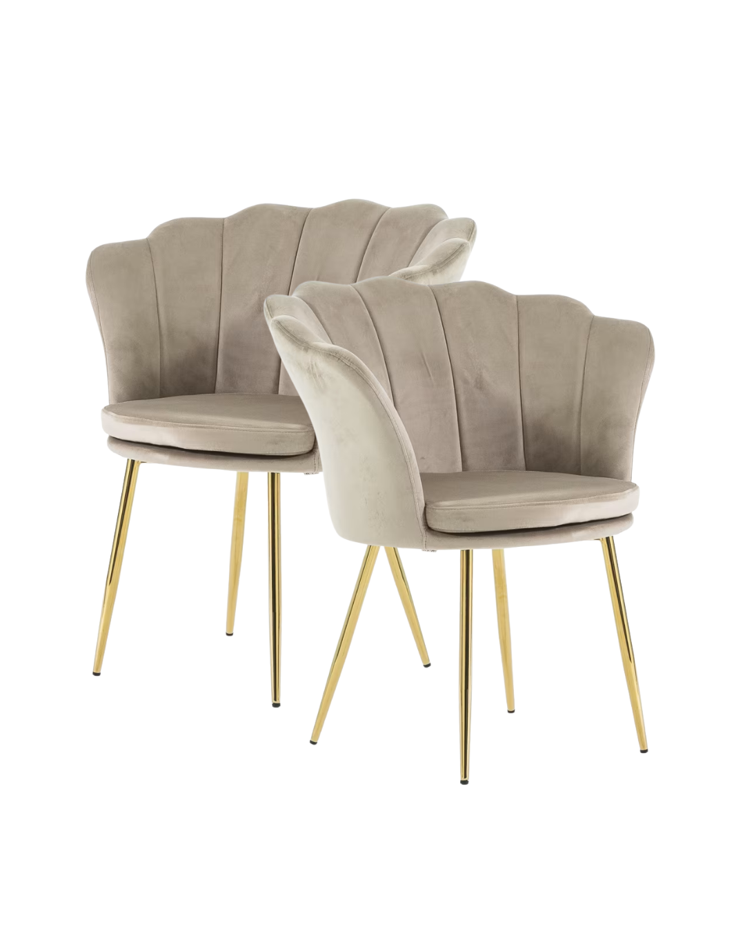 PREORDINE - Poltrona in velluto a conchiglia set 2 pezzi beige