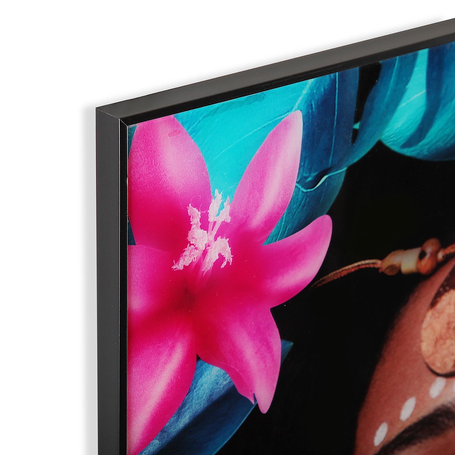 quadro_cristallo_amazzone_2 (1)