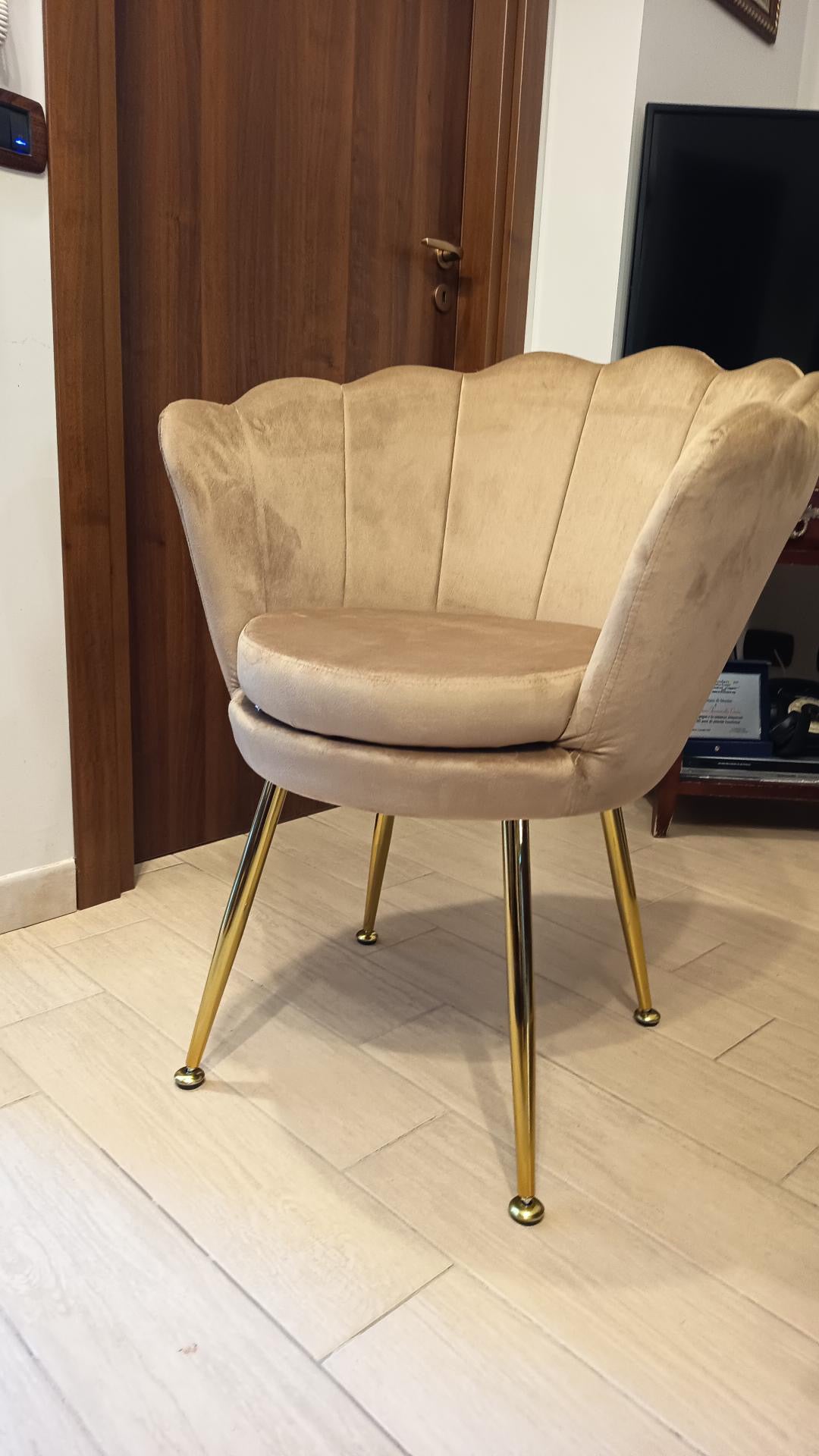 Poltrona in velluto a conchiglia set 2 pezzi tortora