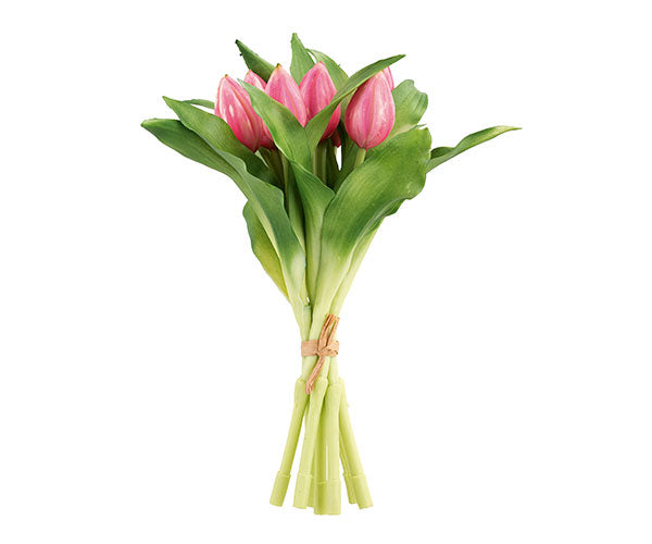 Mazzo 7 tulipani rosa scuro 280cm