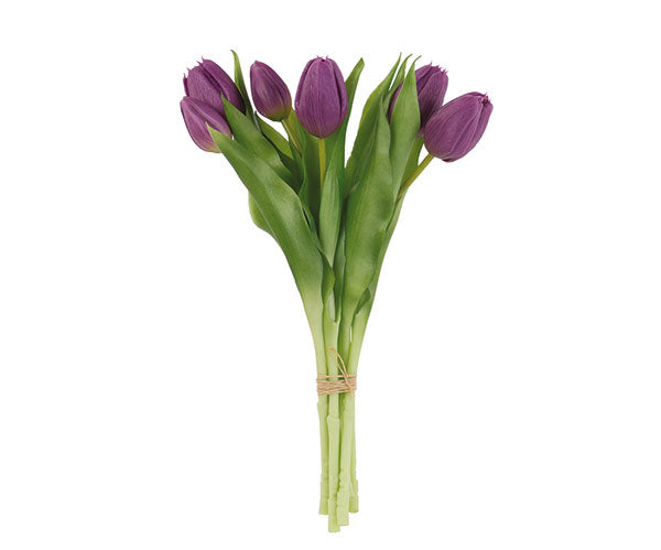 Mazzo 7 tulipani viola 300cm