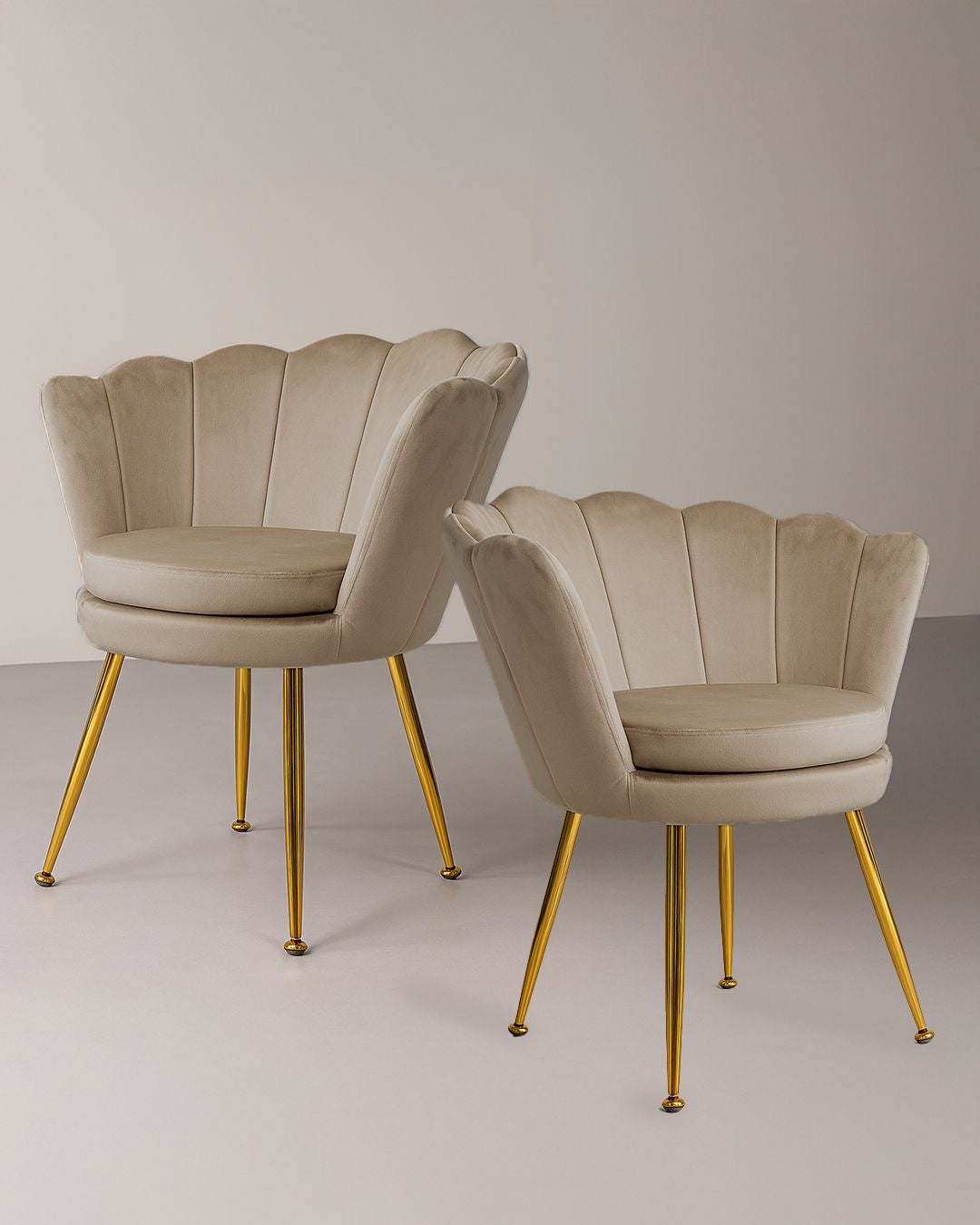PREORDINE - Poltrona in velluto a conchiglia set 2 pezzi tortora