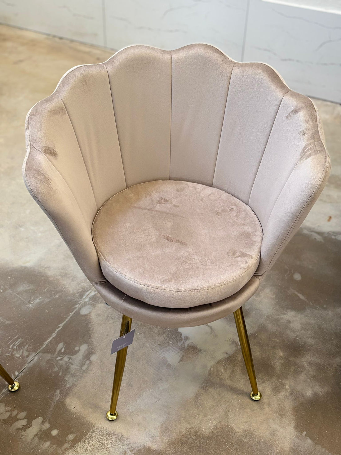 PREORDINE - Poltrona in velluto a conchiglia beige