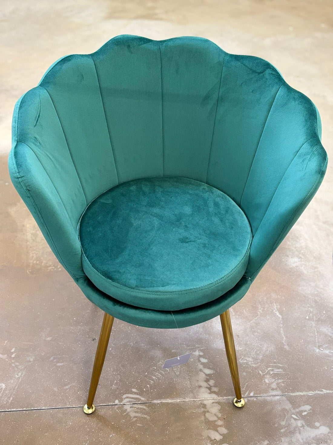 PREORDINE Poltrona a conchiglia Verde