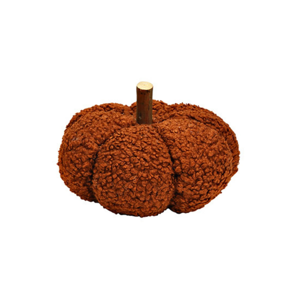 Zucca boucle&