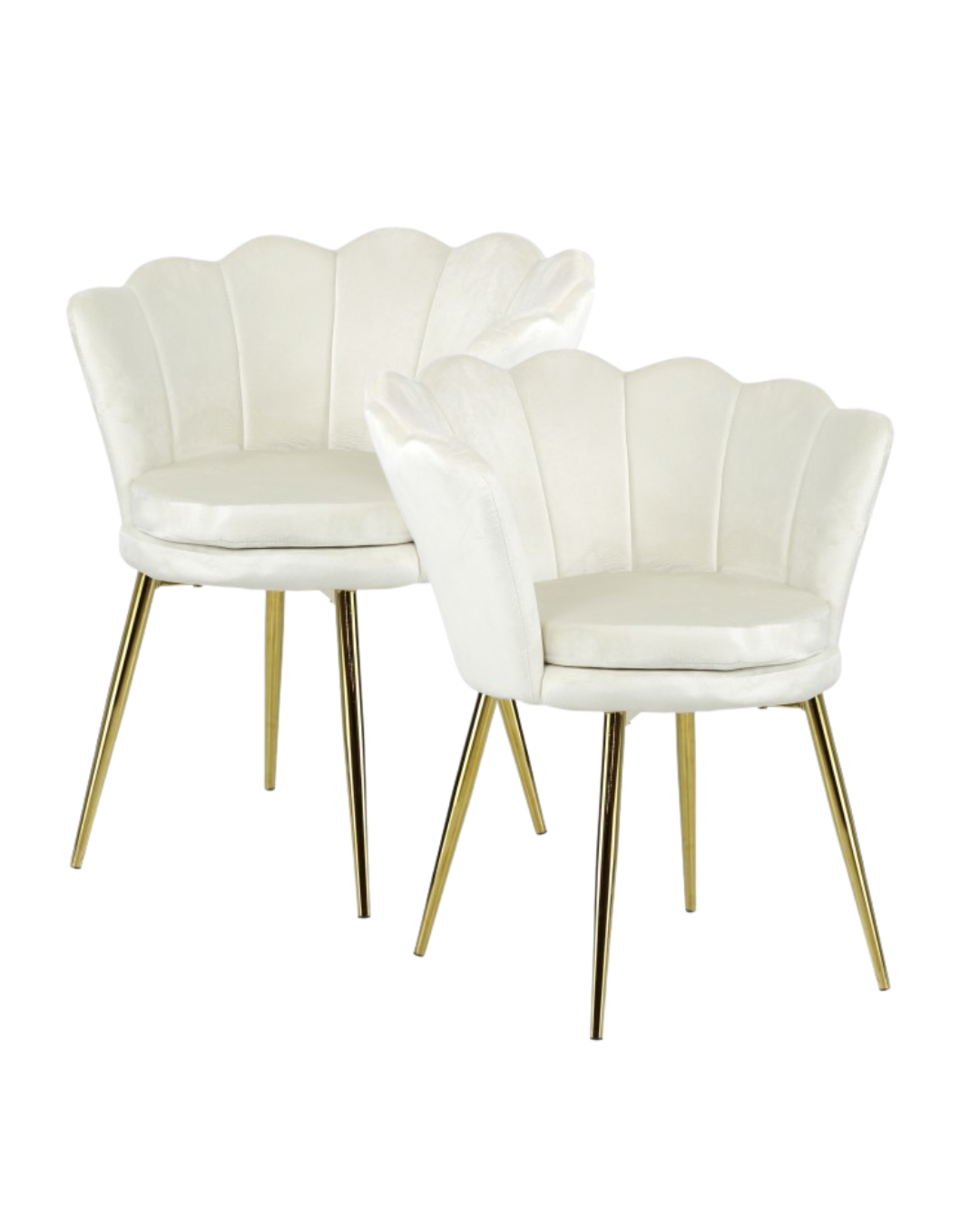 PREORDINE - Poltrona in velluto a conchiglia set 2 pezzi panna